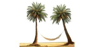 11800016_10153216958798172_4829978804208965888_n