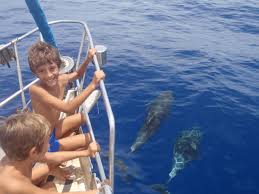 tour du monde en voilier